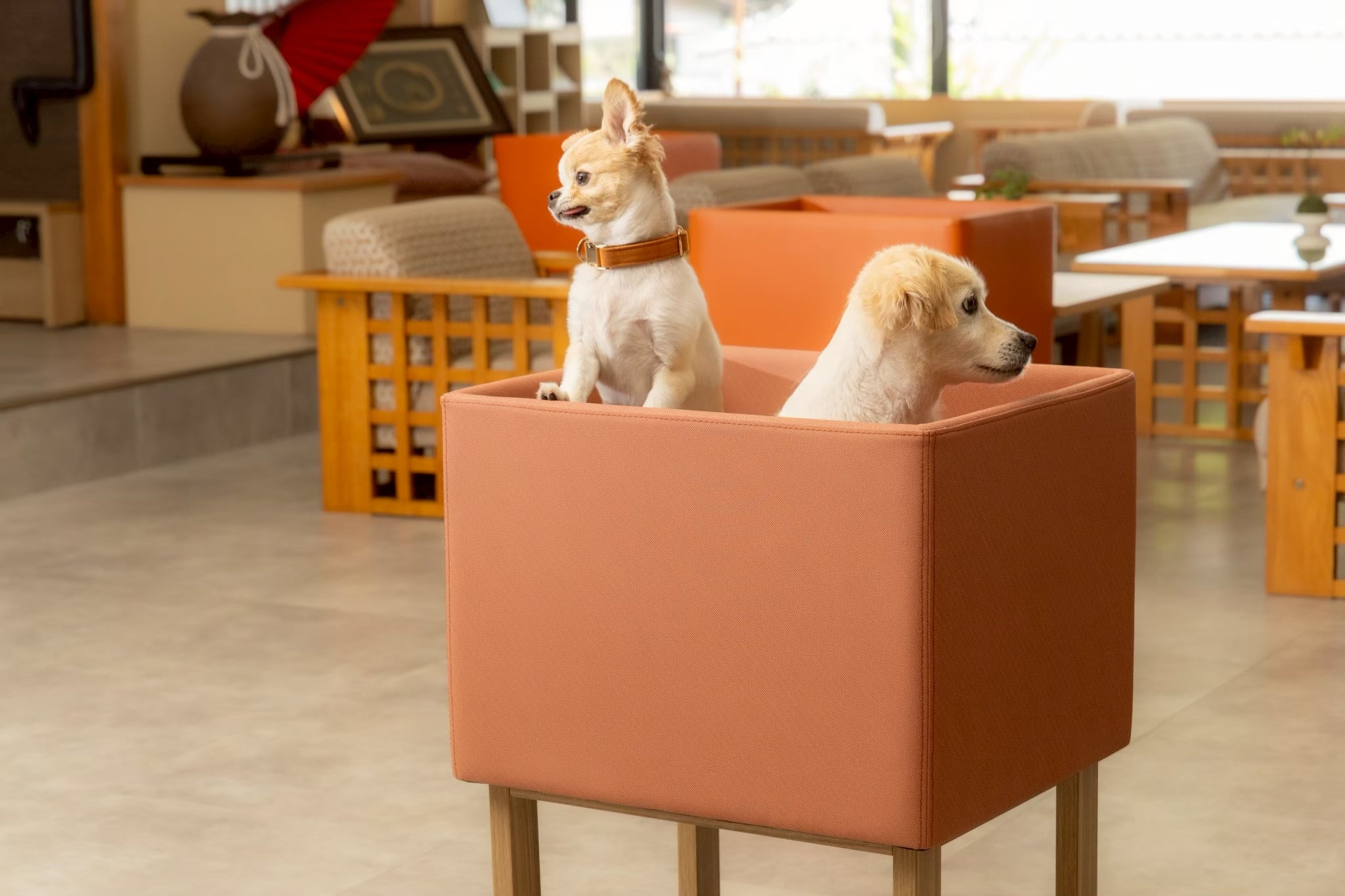 Case7 ペット同伴旅館 わんこ椅子 – 旅館開発企画